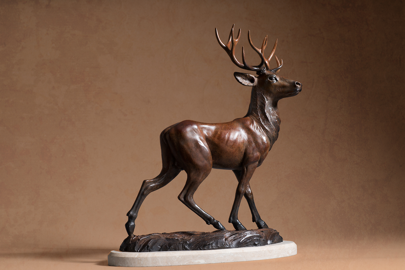 Cerf-2123-large