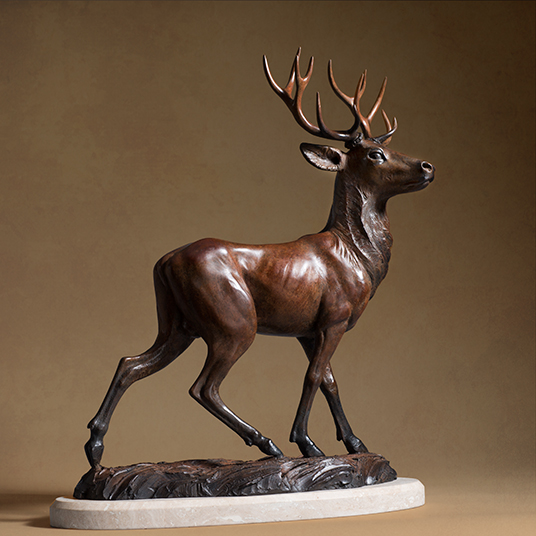 wildlife14